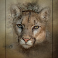 Portrait of Cruz