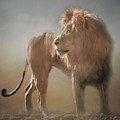 Lion King - Leader of the Pride